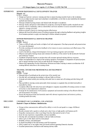 The most successful example resumes highlight a bachelor's degree in information technology and previous training experience. Professional Trainer Resume Samples Velvet Jobs