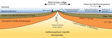 Solved Activity 3.7B Www Calculating The Rate Of Seafloor | Chegg.Com