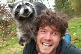 Campaign Viral Chart: LG's ad with animal selfies is most shared