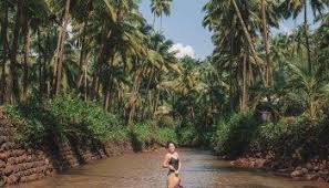 Cola Beach Goa Exploring The Best Beach In South Goa India In 2020 Goa Goa Travel Culture Travel