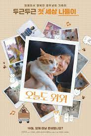 A tribe of cats called the jellicles must decide yearly which one will ascend to the heaviside layer and come back to a new jellicle life. The Journey Of The 12 Cats 2019 Filme Onde Assistir Streaming Online Sinopse