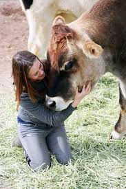 Kind Field Trip Bear S First Visit To The Farm Sanctuary The Kind Life Animal Sanctuary Farm Sanctuary Animals Friends