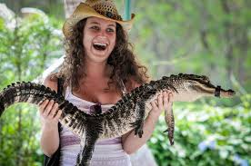 When i created alligator records, the very first promo piece to promote that very first hound dog taylor album was headed genuine houserockin' music. Alligator And Crocodile We Animals Media
