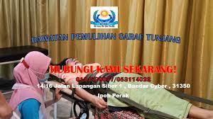 Untuk maklumat lanjut sila hubungi: Spinal Cord Injury In 2021 Spinal Cord Spinal Cord Injury Muscle Function