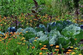 Raiffeisen Laborservice Mit 25jahriger Erfahrung Fur Gartenfreunde