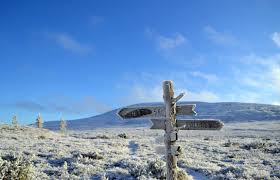 Kuvahaun tulos: lappi