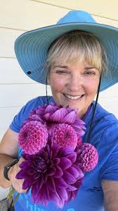 Sharing dahlia flowers from garden