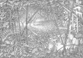 Baggrunde Tegning Skov Blade Illustration Skygge Sne Vinter Kunstvaerk Afdeling Frost Monster Alfer Fryser Nisser Kunst Trae Eng Snestorm Skitse Skov Wiese Sort Og Hvid Monokrom Fotografering Graes Familie Nisser Zwerge