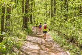 More than 15 miles of trails wind through the forested park, providing opportunities for exercise and nature photography. Oak Mountain State Park Alapark
