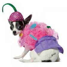 Mcgruff Costume For Dogs Mascotcostumes