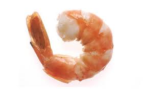 Stop Eating Shrimp 3 Inhabitat Green Design Innovation Architecture Green Building