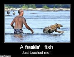 That S Me At Lake Powell Funny Funny Pictures Haha Funny