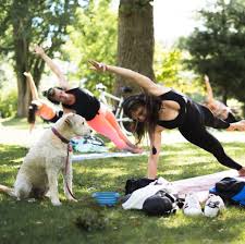 Our mission from the start was to create an authentic community of yoga teachers and students. Get Your Ommm On At These Local Yoga Studios Laptrinhx News