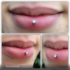 Inverselip Tumblr Unique Body Piercings Ashley Piercing Lip Piercing
