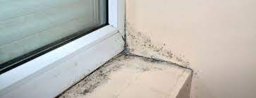 Dilute it to clean what can you do to get rid of mold on a window sash? How To Prevent Mold Growth On Windowsills Tcb Envirocorp
