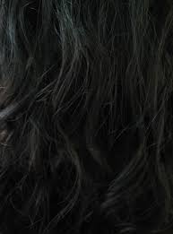 For making indigo hair dye, indigo leaves are processed, sun dried and powdered to a smooth powder. Black Night Pure Indigo Hair Colour The Henna Tree