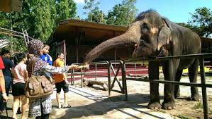Tempat menarik di ayer keroh yang seterusnya ialah melaka wonderland theme park & resort yang semakin popular di kalangan pengunjung yang bercuti di melaka. Yeay 13 Tempat Menarik Di Melaka Untuk Kanak Kanak