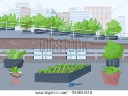 As a city dweller, i envy anyone that has an outdoor space they can call their own. Rooftop Gardening Vector Photo Free Trial Bigstock