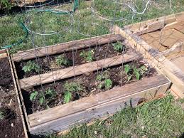 We did not find results for: Re Purposed Pallets Into Raised Bed Gardens My Meandering Thoughts