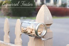 Also, utilizing a designated squirrel feeder is an effective. Diy Squirrel Feeder Mason Jar