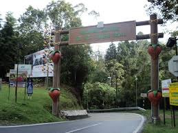 Selamat datang ke page homestay kampung taman sedia, cameron highlands. Destinasi Percutian Cameron Highlands Kg Tradisional Taman Sedia