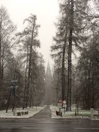 Karlsruhe Germany In The Snow