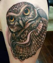 Owl Tattoos Tattoo Insider Owl Tattoo Owl Tattoo Drawings Tattoos