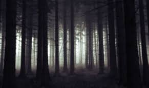 Victoria Ribot Is Creating Illustrations To Make A Webtoon Patreon Scary Woods Scary Photography True Crime Podcasts