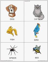 Printable Animal Flash Cards Flashcards For Kids Animal Flashcards Kids Preschool Learning