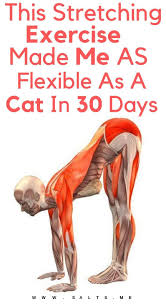 Pin On Stretching Exercises Salts
