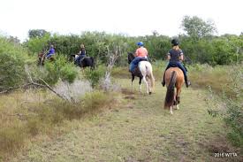Horse riding centre in ocala, florida. Where The Trails Are Equestrian Trails And Campgrounds