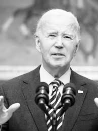 Tommy the Turtle removed from Dwyer Park