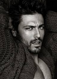 The Bridge of Silver Wings by John Wiltshire