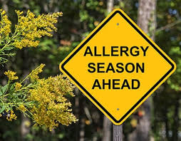 Although immunosenescence is characterized by changes in both the innate and adaptive arms of the immune system,2 the important contributor to decline in immune function in the elderly is the changes observed in adaptive immunity. Can Allergies Lower Your Immune System Intercoastal Medical Group