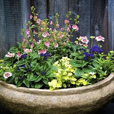 Maybe you would like to learn more about one of these? Follow These 5 Tips To Grow Gorgeous Container Gardens Large Garden Pots Shallow Pot Plants Container Flowers