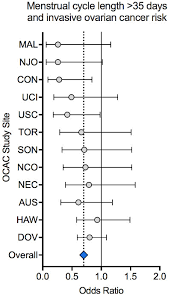 However, yours may be shorter or longer. Invasive Ovarian Cancer Risk Understanding The Role Of The Menstrual Cycle