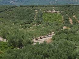 نتیجه جستجوی لغت [cleared] در گوگل