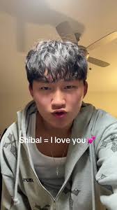 What Does Shibal Means in German