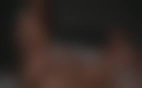 Full Porndoe Pedia Porn Videos