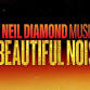 A Beautiful Noise
