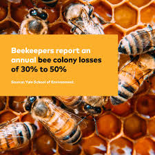 Nah, pada kesempatan kali ini admin akan membahas tentang hal raxeii2k on twitter viral bagi kalian yang saat ini tengah mencari informasi mengenai hal raxeii2k on twitter ini, maka kalian. Kshmp76oopfbpm