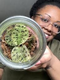 Bought a closet wardrobe and converted it to our new plant stand! Best idea  ever! Plus a new rug to tie it all in! Moved original plant stand to our  dining area! |