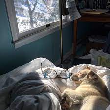 The raveled sleeve is what, in modern english, we would term unraveled. Sleep That Knits Up The Raveled Sleave Of Care