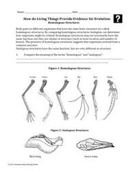 Which biologist is most commonly credited with developing and publishing the theory of evolution by natural selection? Evolution Homologous And Vestigial Structures By Biology Roots Tpt