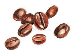 Coffee Beans Watercolor Stock Illustration Illustration Of Morning 179245588 In 2021 Coffee Watercolor Coffee Illustration Coffee Artwork Illustrations