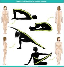 Why Do We Hold Yoga Poses Yoga Poses Yoga Anatomy Poses