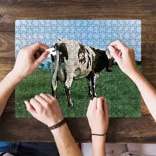 We did not find results for: Atom Heart Mother Puzzle Floydology Atom Heart Mother Pink Floyd Merchandise Owl Eyes