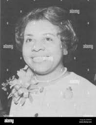 Vernice hi-res stock photography and images