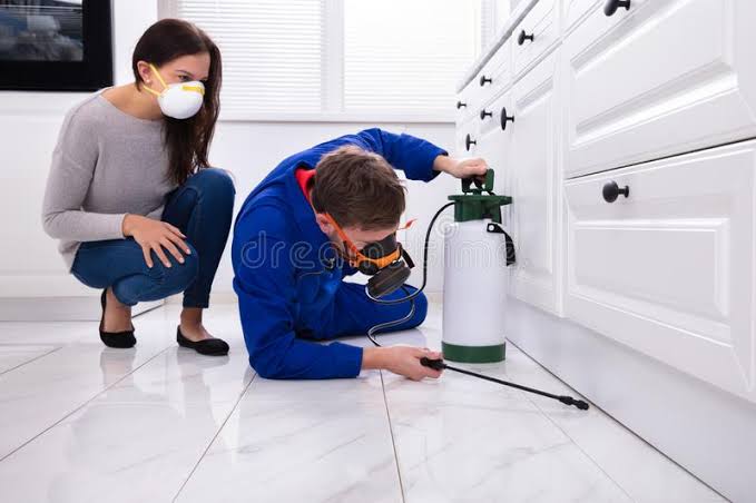Rodent Control Work