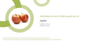 Ssw gibt es viele offene fragen. 15 Ssw Die 15 Schwangerschaftswoche Tag 99 105